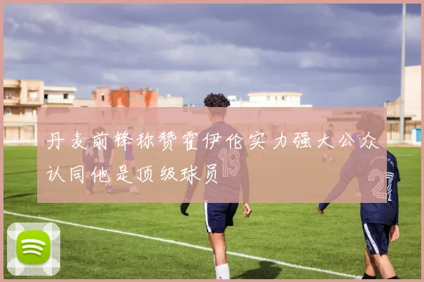 丹麦前锋称赞霍伊伦实力强大公众认同他是顶级球员