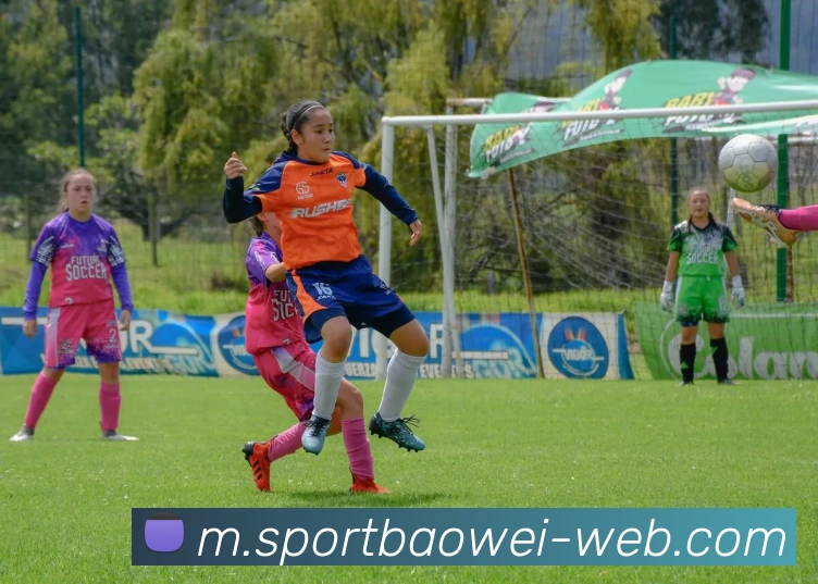 宝威体育发展历程